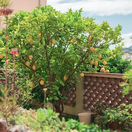 Daire Val De Menton, 3 Pieces Atypique, Jardin Et Terrasse A 7 Minutes A Pied Du Centre Menton