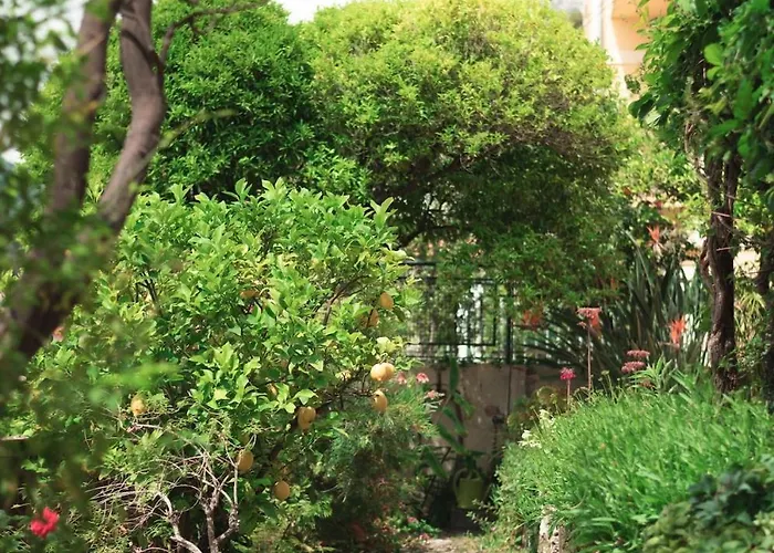 Val De Menton, 3 Pieces Atypique, Jardin Et Terrasse A 7 Minutes A Pied Du Centre 멍똥